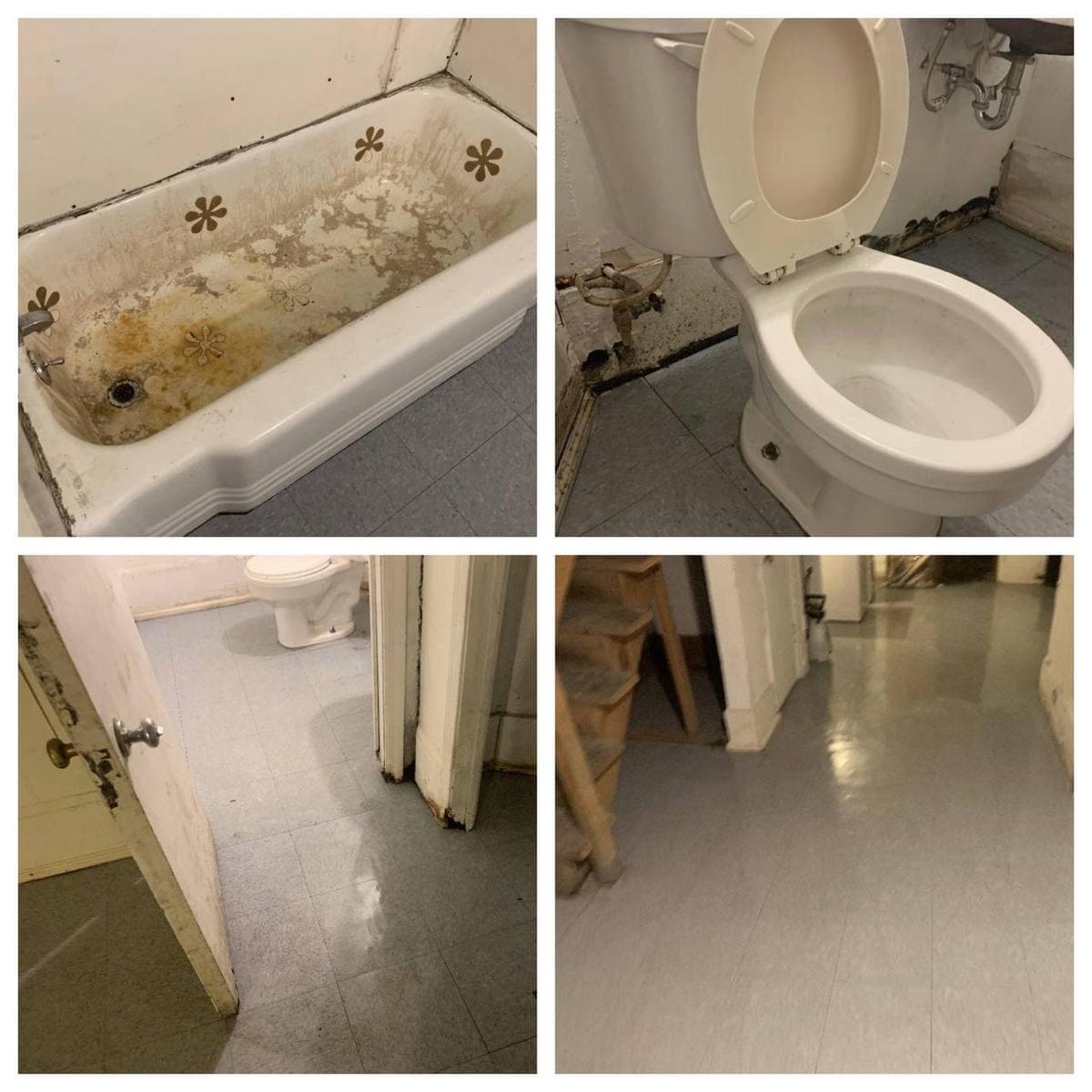 Before and After Mold Remediation