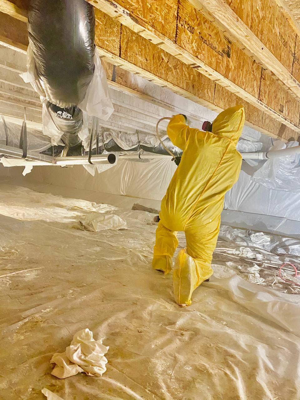 Professional mold removal project in Grand Strand SC