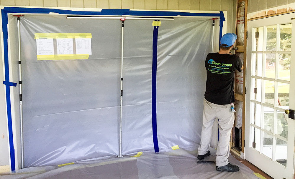 Professional Mold Remediation in Myrtle Beach