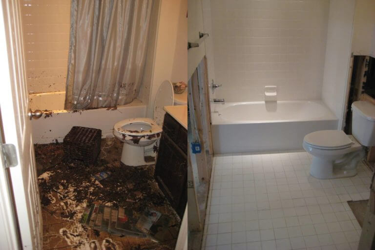 Before and After Sewage Cleanup Restoration